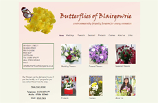 Snapshot of Butterflies of Blairgowrie Website (58K)